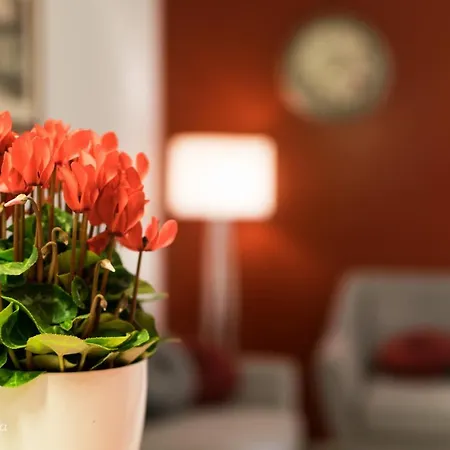 Ottocento 4* Αλγκέρο