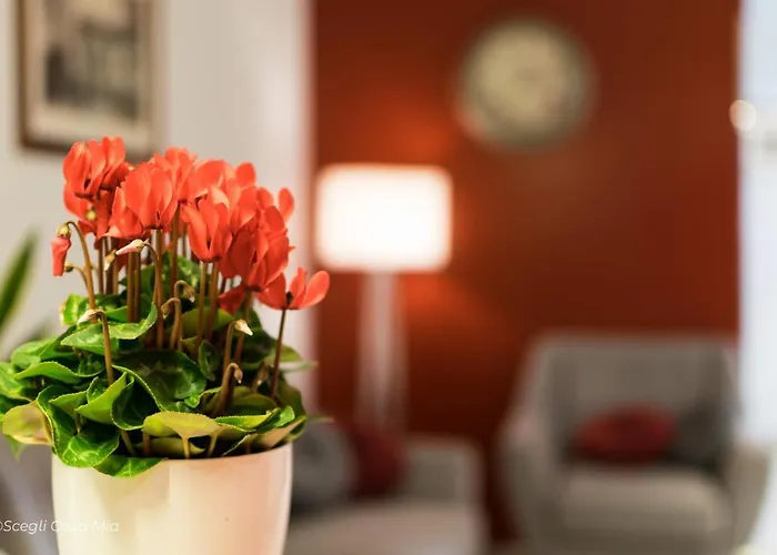 奥托桑托旅馆 4* 阿尔盖罗